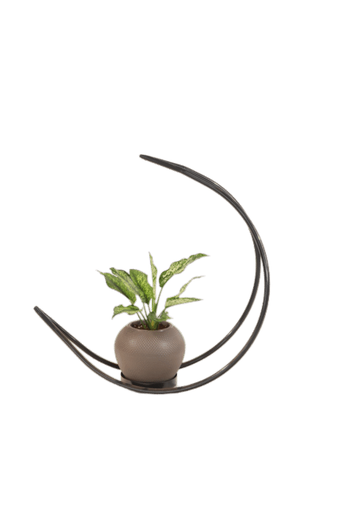 Homa Multipurpose Stand